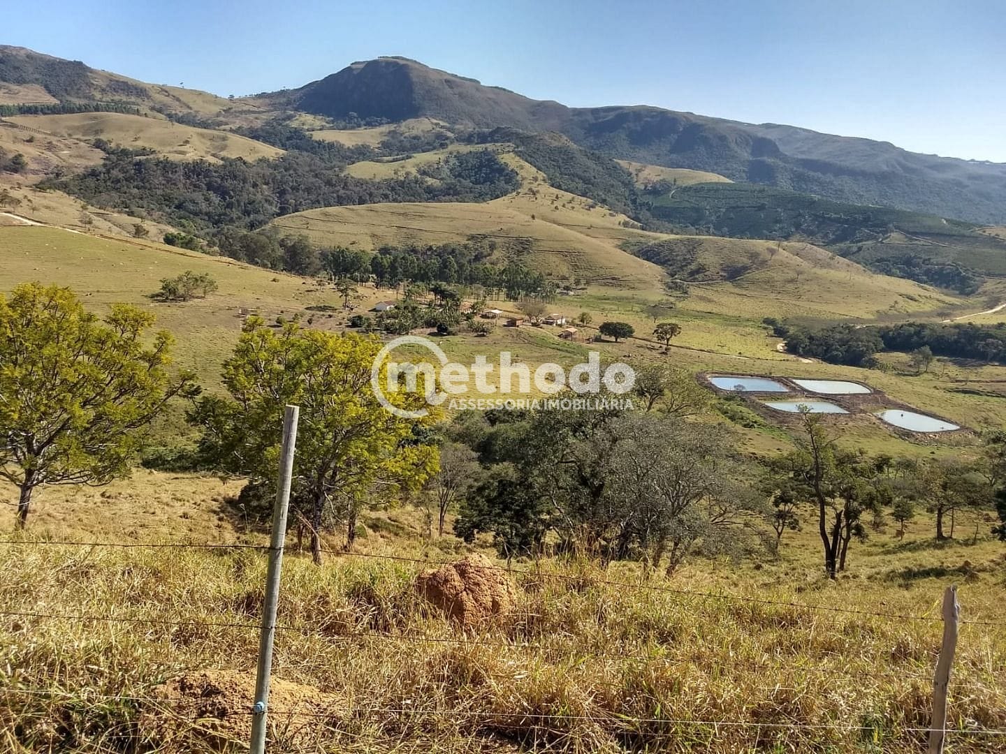 Fazenda, 116 hectares - Foto 14