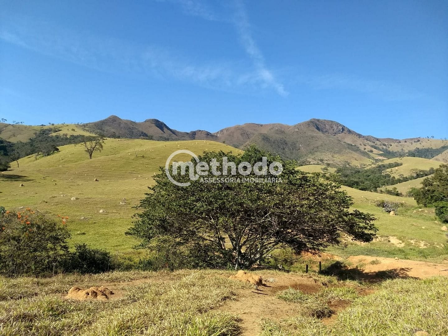 Fazenda, 116 hectares - Foto 11