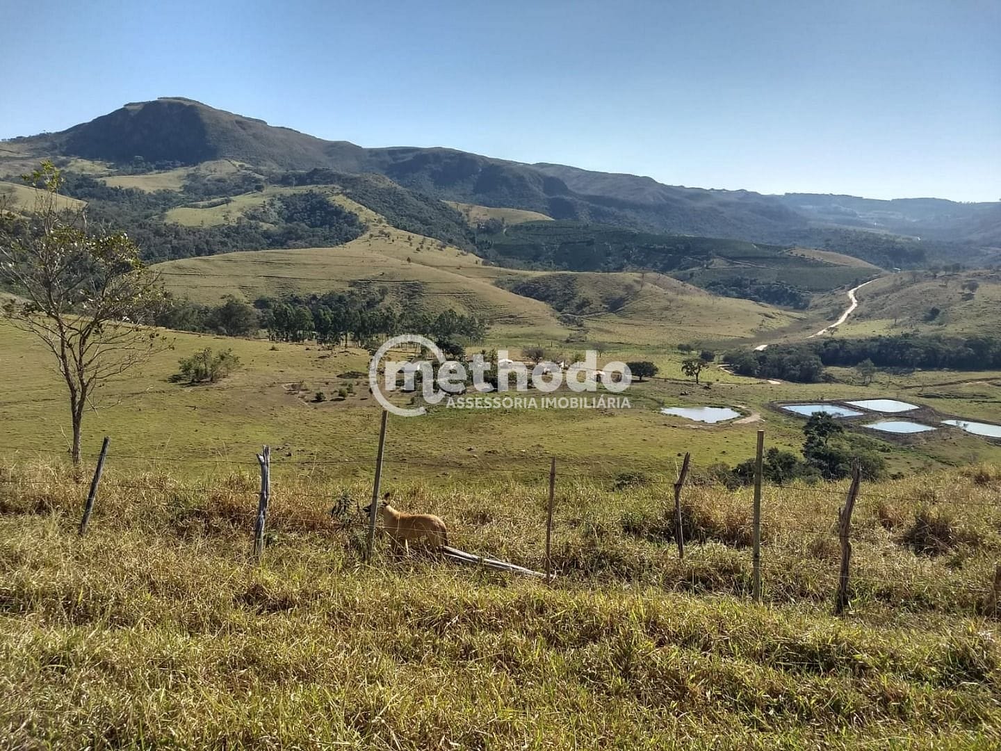 Fazenda, 116 hectares - Foto 10