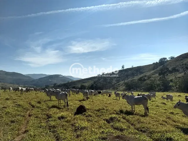 Fazenda com 1155200m² 3 quartos e 1 banheiro, à venda, no bairro Fazenda Cachoeira em Ilicínea