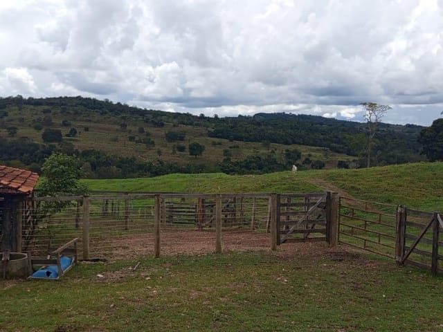 Fazenda com 13794000m² 3 quartos e 2 banheiros, à venda, no bairro zona rural em Rubiataba