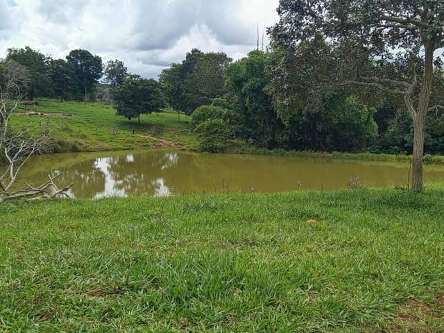 Fazenda com 13794000m² 3 quartos e 2 banheiros, à venda, no bairro zona rural em Rubiataba