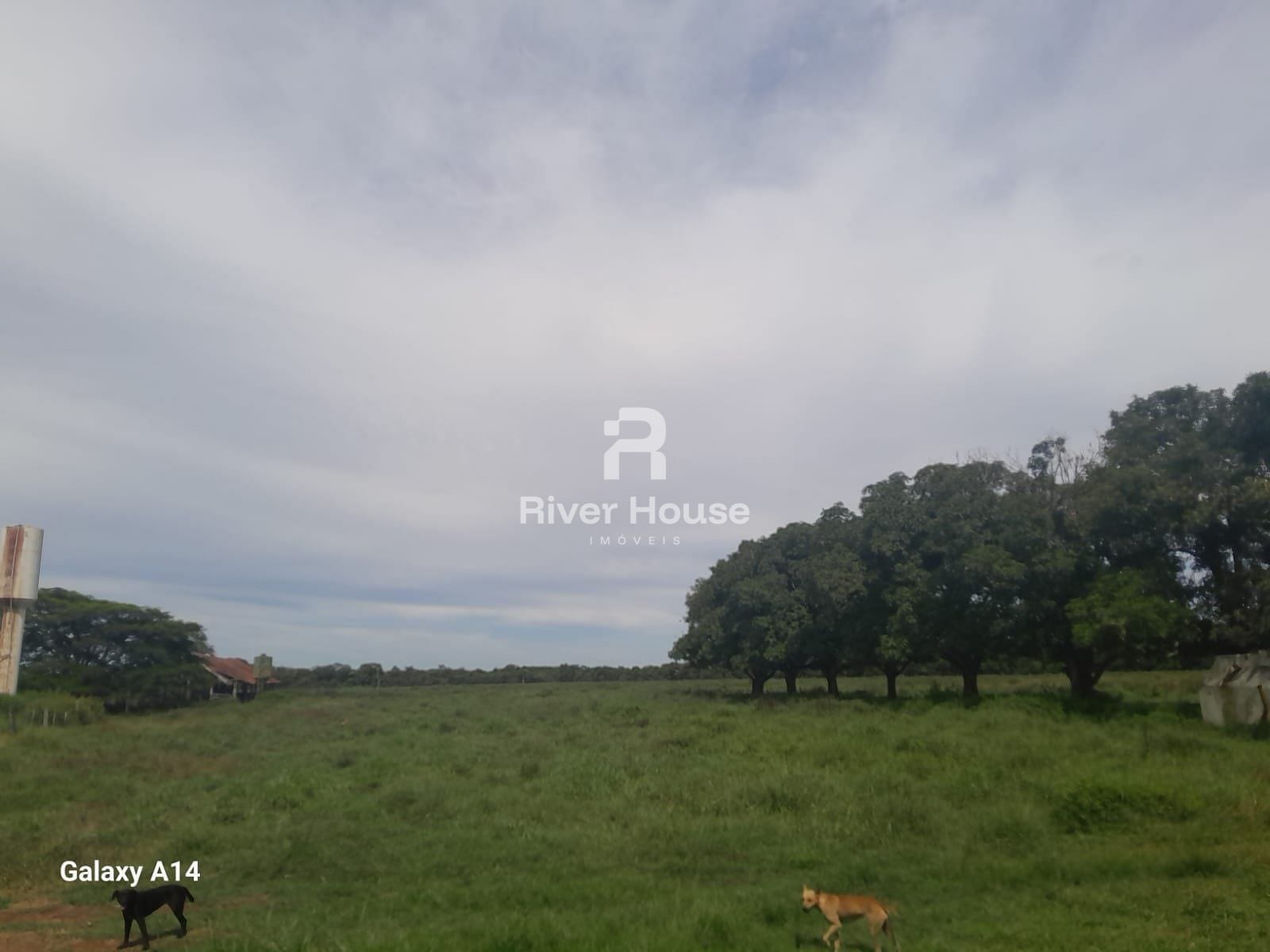 Fazenda, 250 m² - Foto 8