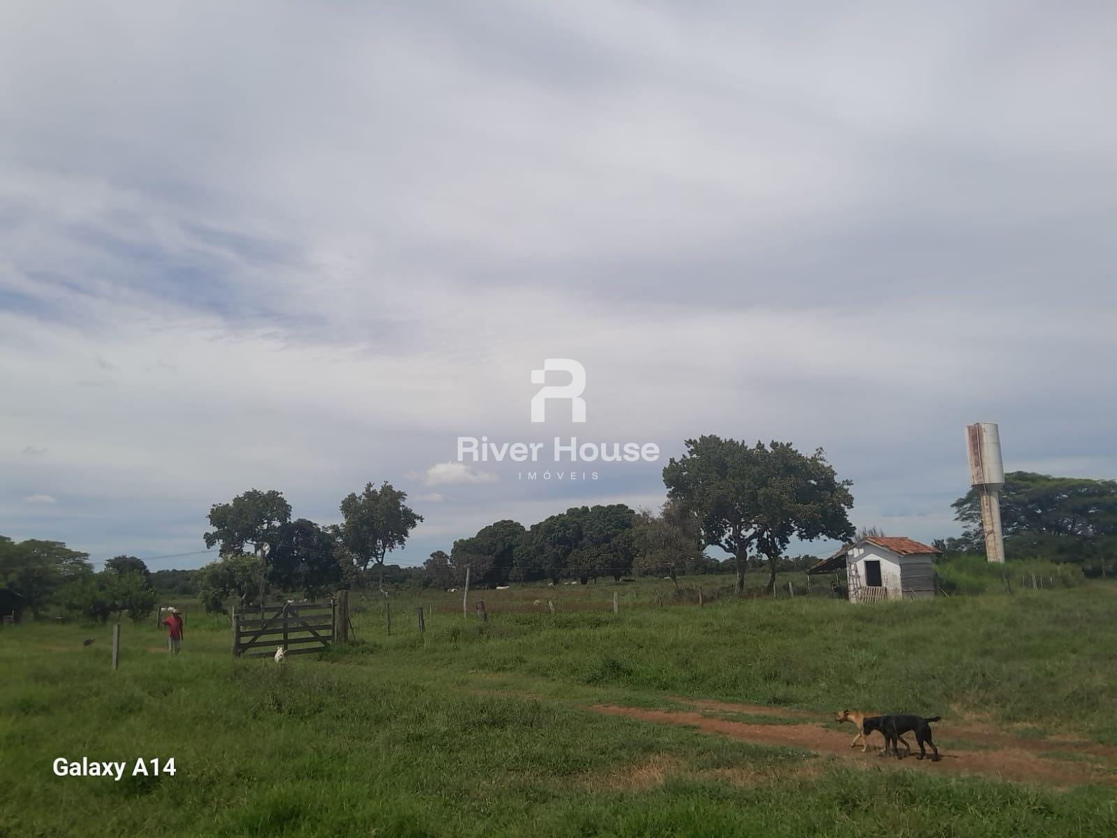 Fazenda, 250 m² - Foto 9