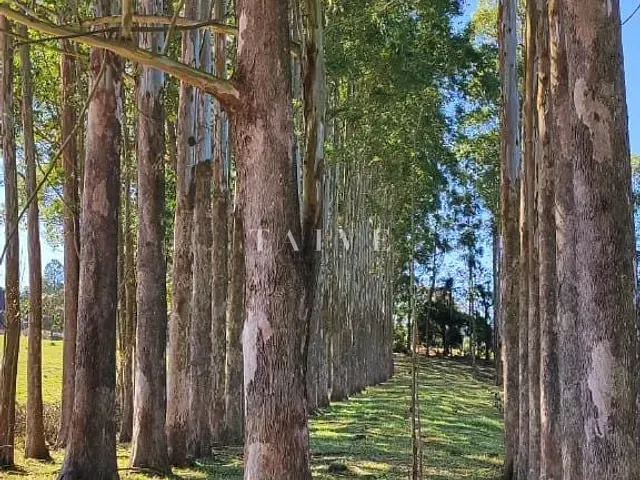 Fazenda com 2891900m² 2 quartos e 2 banheiros, à venda, no bairro Área Rural de Pardinho em Pardinho