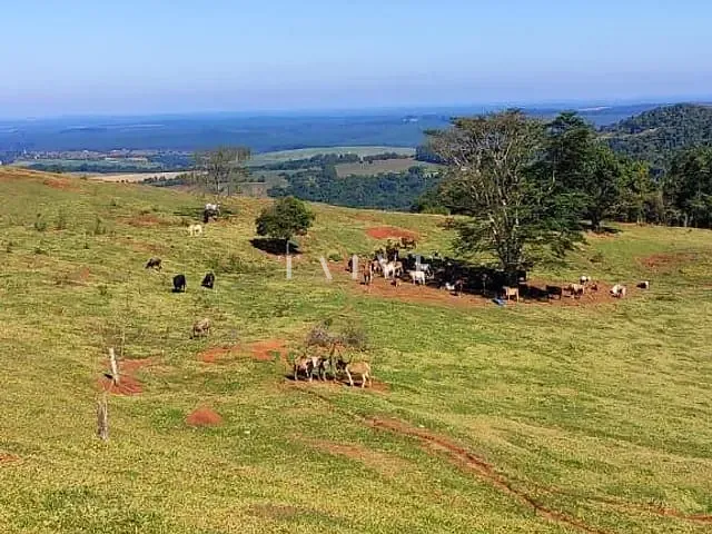 Fazenda com 2891900m² 2 quartos e 2 banheiros, à venda, no bairro Área Rural de Pardinho em Pardinho
