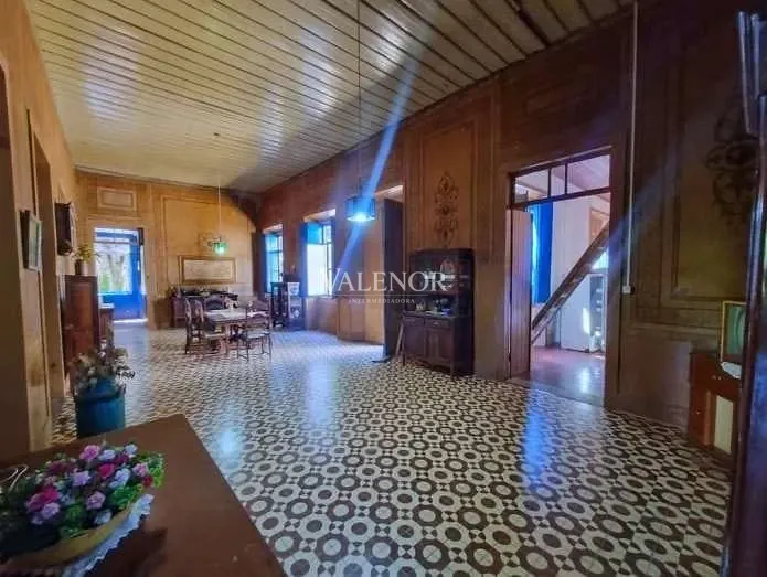 Fazenda, 58 hectares - Foto 14
