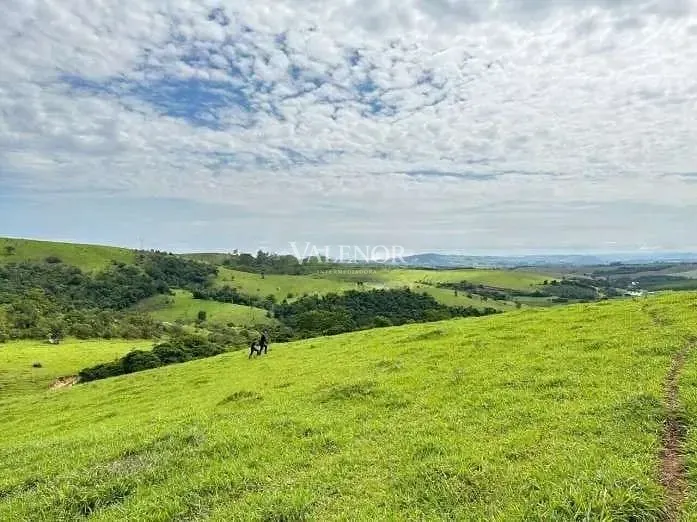 Fazenda, 58 hectares - Foto 21