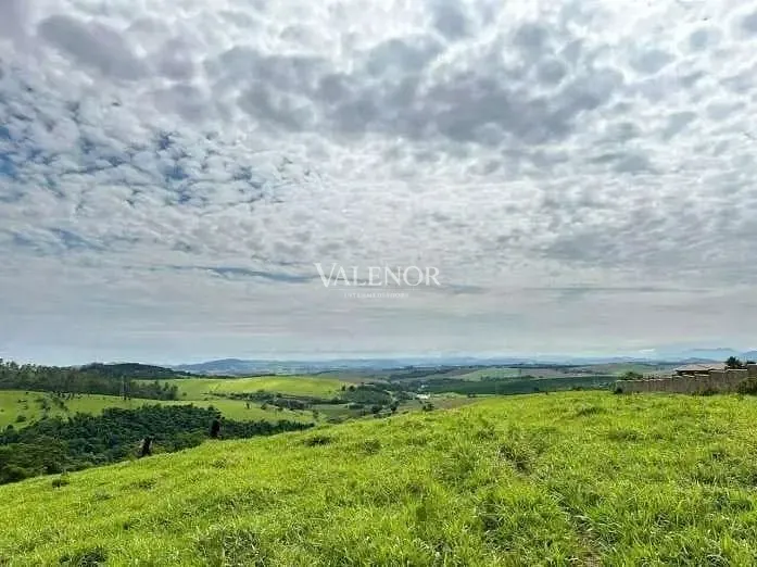 Fazenda, 58 hectares - Foto 22