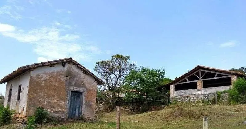 Fazenda, 58 hectares - Foto 32