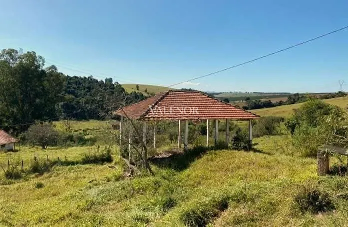 Fazenda, 58 hectares - Foto 31