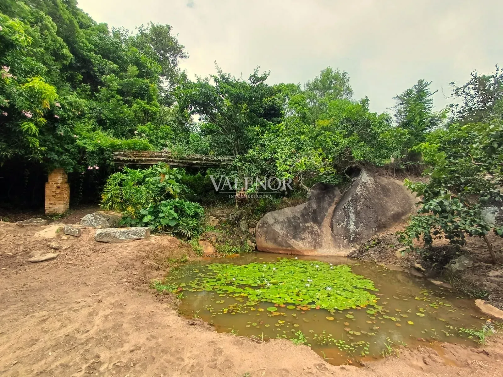 Fazenda, 58 hectares - Foto 29