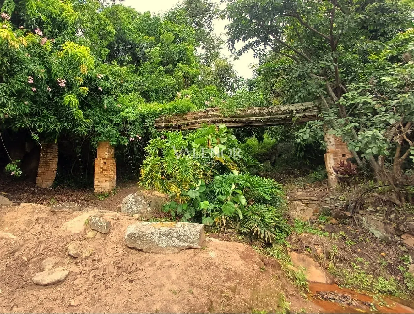 Fazenda, 58 hectares - Foto 23