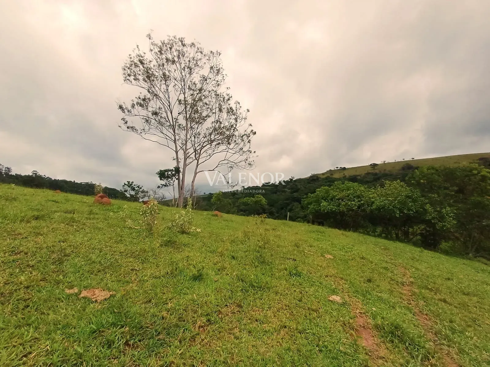 Fazenda, 58 hectares - Foto 27