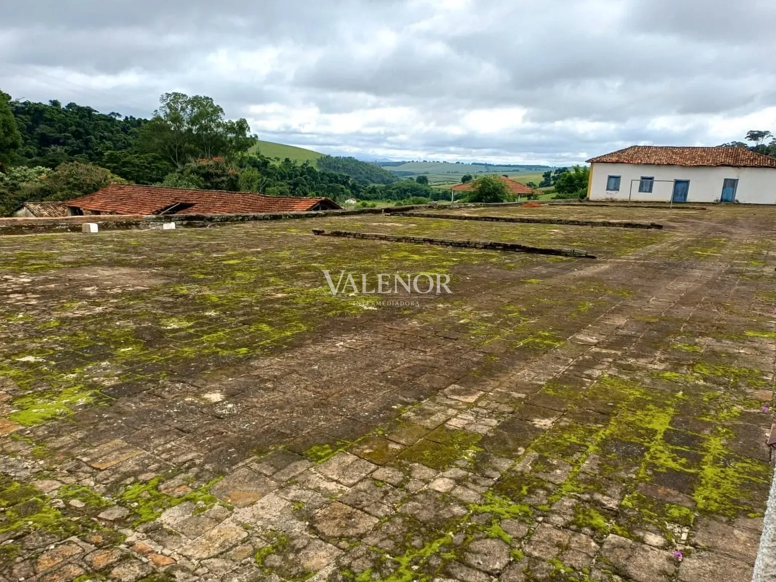 Fazenda, 58 hectares - Foto 6