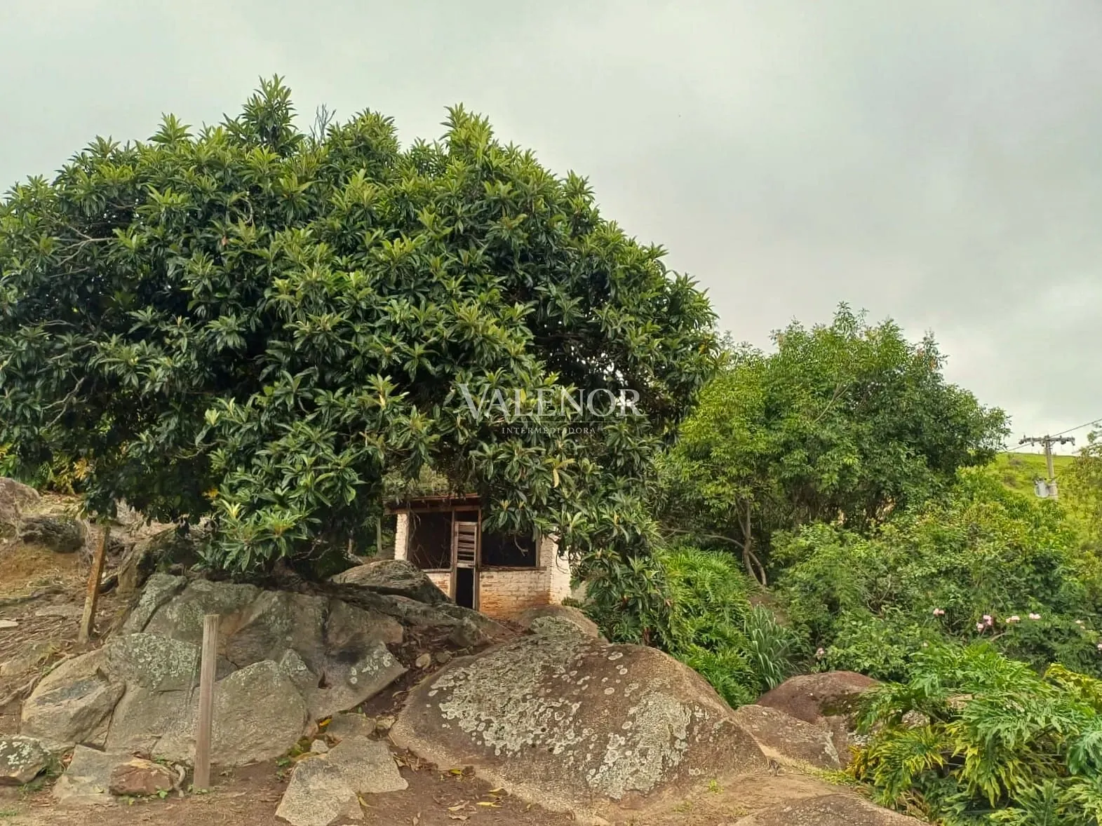 Fazenda, 58 hectares - Foto 28
