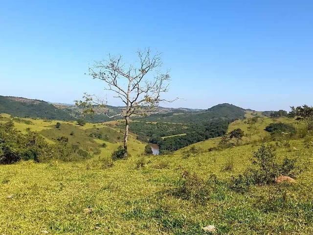 Foto do Fazenda - Maravilhosa Fazenda a Venda Oliveira/MG | Zwicker Imóveis