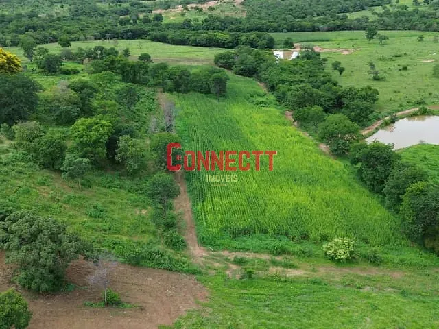 Fazenda com 2170000m² 6 quartos e 3 banheiros, à venda, no bairro . em João Pinheiro