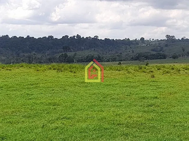 Fazenda com 51304000m², à venda, no bairro Zona Rural em Itupiranga