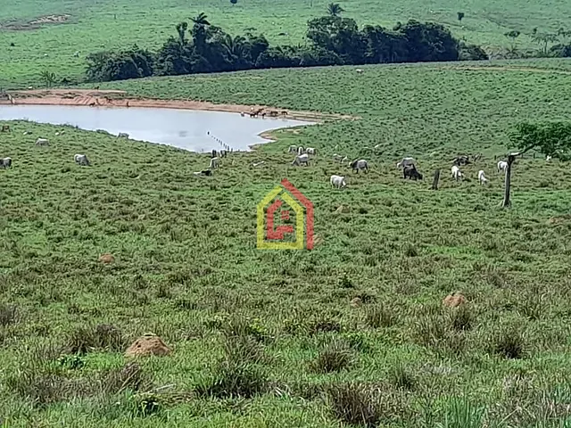 Fazenda com 51304000m², à venda, no bairro Zona Rural em Itupiranga