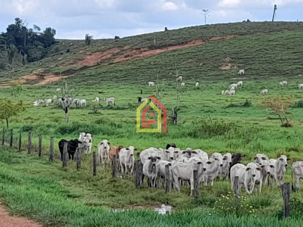 Rural à venda com 51304000m² de terreno no Zona Rural, Itupiranga (PA) — foto 10 de 11