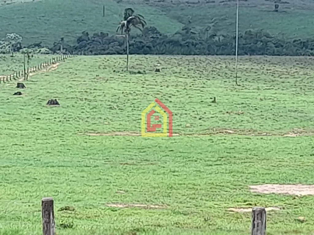 Rural à venda com 51304000m² de terreno no Zona Rural, Itupiranga (PA) — foto 6 de 11