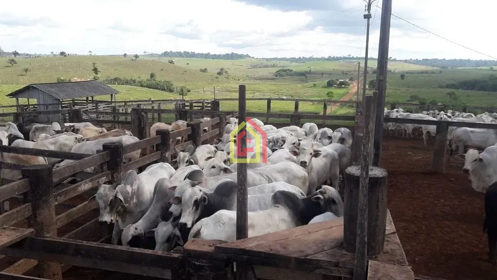 Rural à venda com 51304000m² de terreno no Zona Rural, Itupiranga (PA) — foto 11 de 11