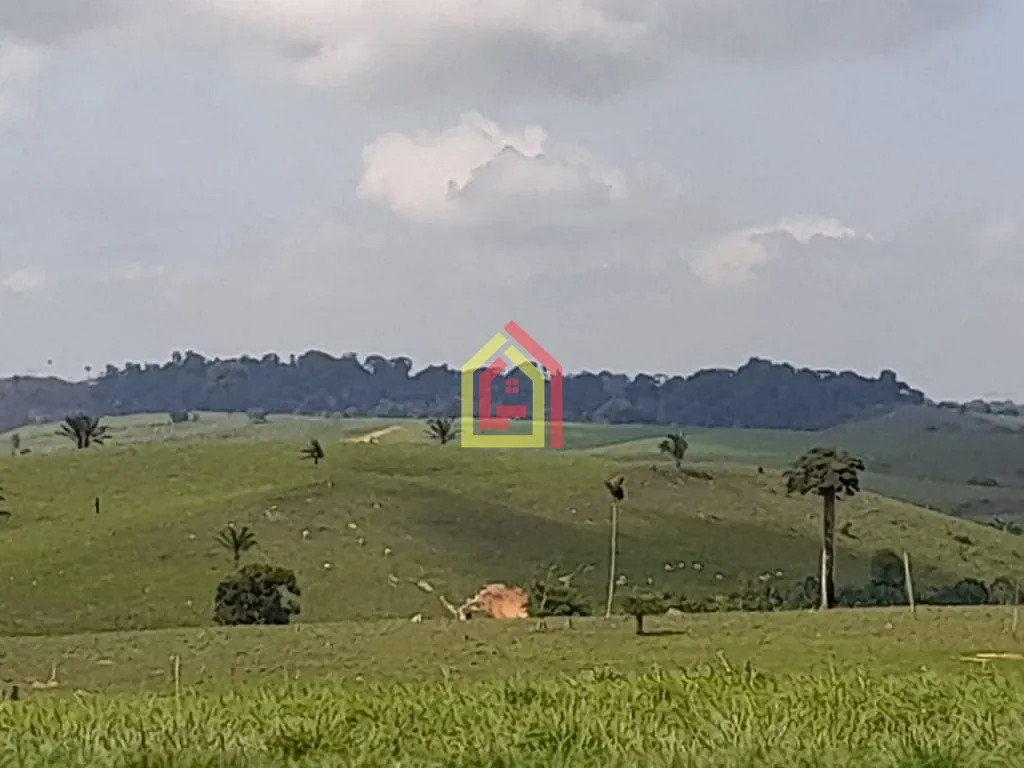 Rural à venda com 51304000m² de terreno no Zona Rural, Itupiranga (PA) — foto 7 de 11