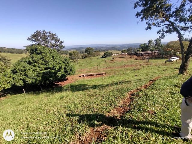 Fazenda com 387200m² 3 quartos e 1 banheiro, à venda, no bairro zona rural em Morrinhos