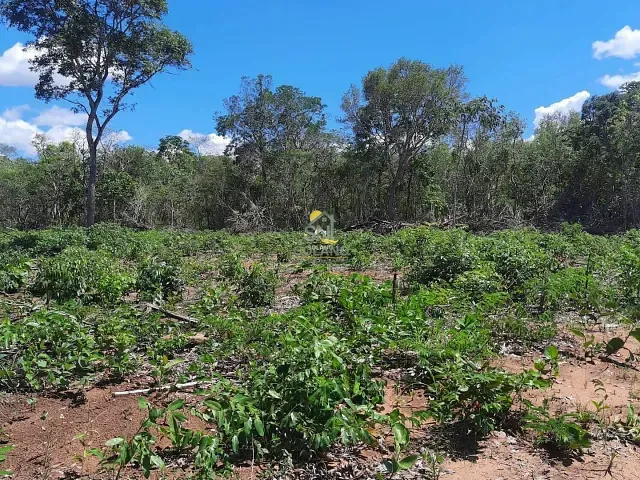 Fazenda com 242m² 2 quartos e 1 banheiro, à venda, no bairro Centro em Cocalinho