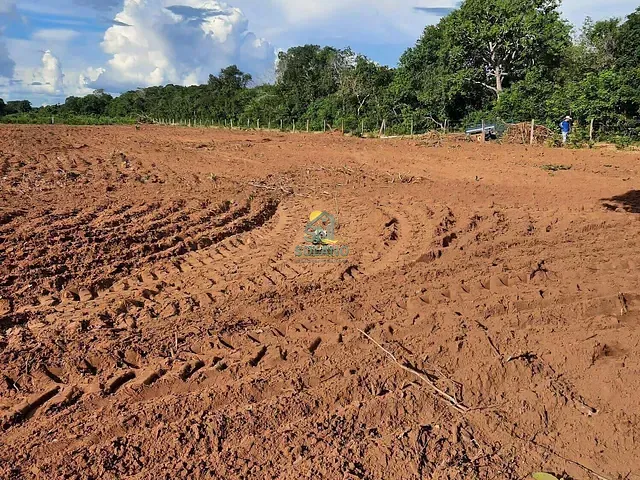 Fazenda com 242m² 2 quartos e 1 banheiro, à venda, no bairro Centro em Cocalinho