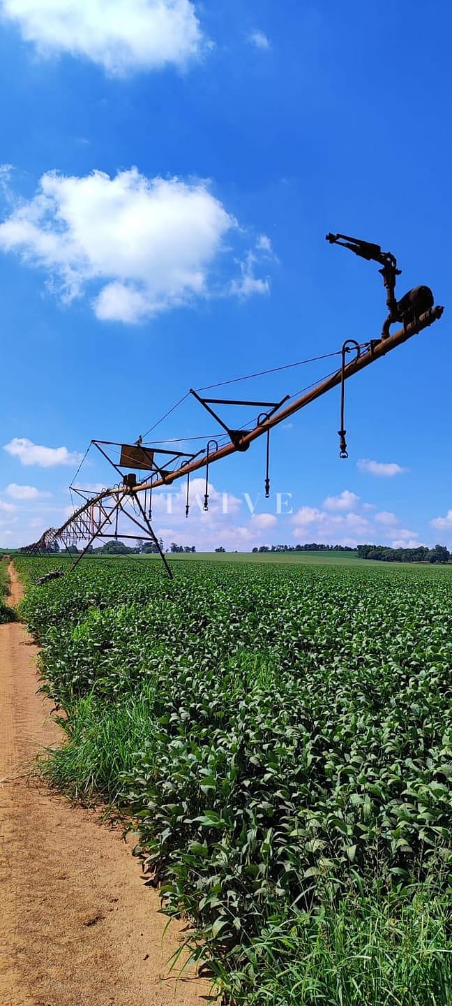 Fazenda à venda, 10m² - Foto 12