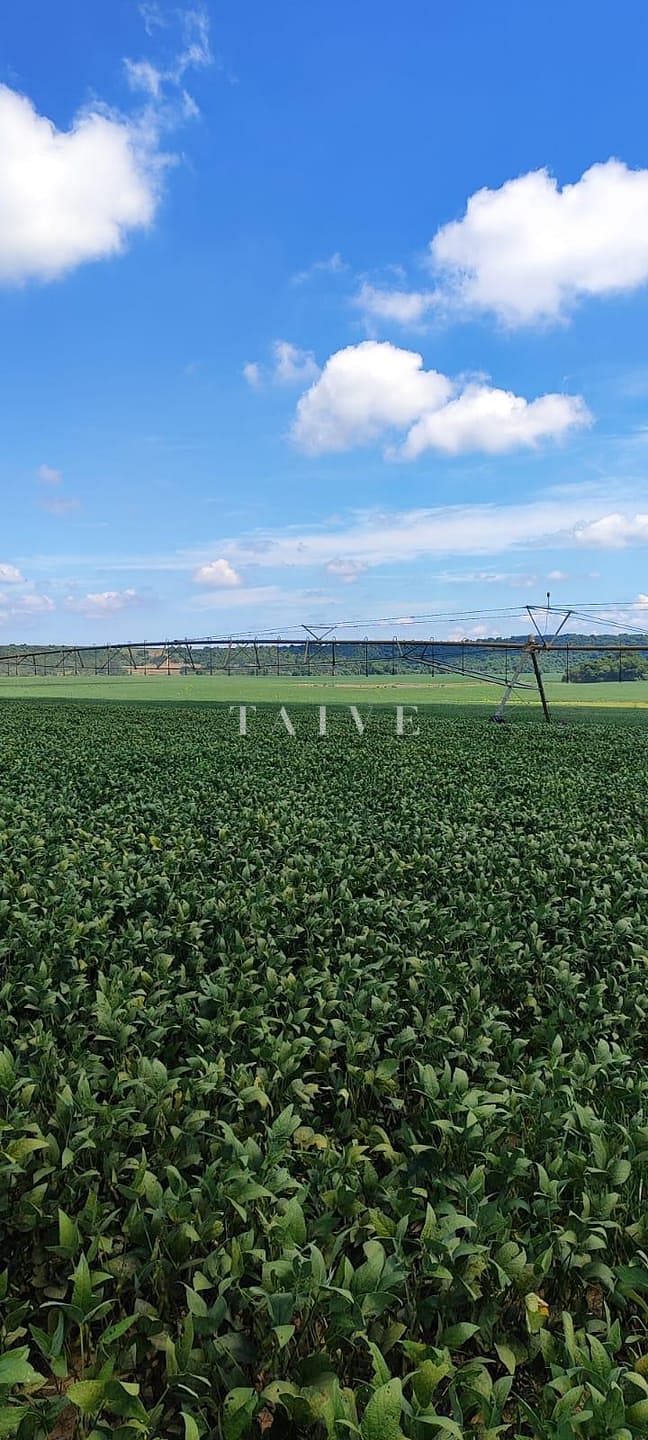 Fazenda à venda, 10m² - Foto 8