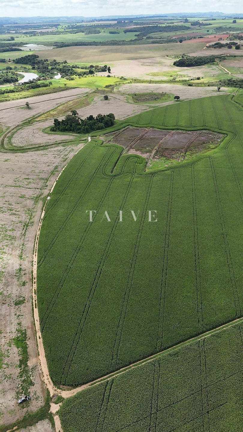 Fazenda à venda, 10m² - Foto 5