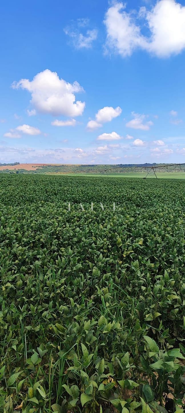 Fazenda à venda, 10m² - Foto 10