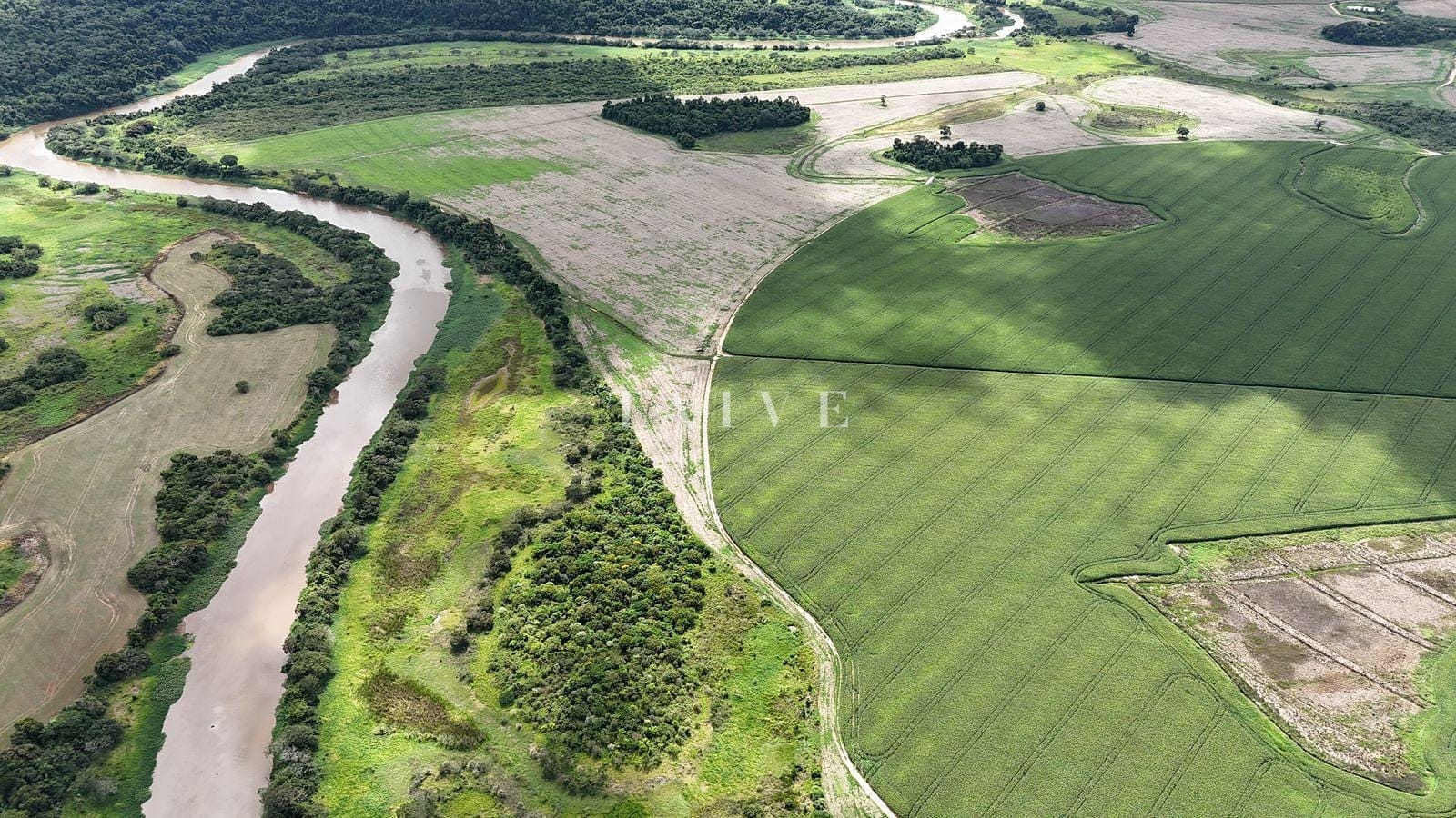Fazenda à venda, 10m² - Foto 6