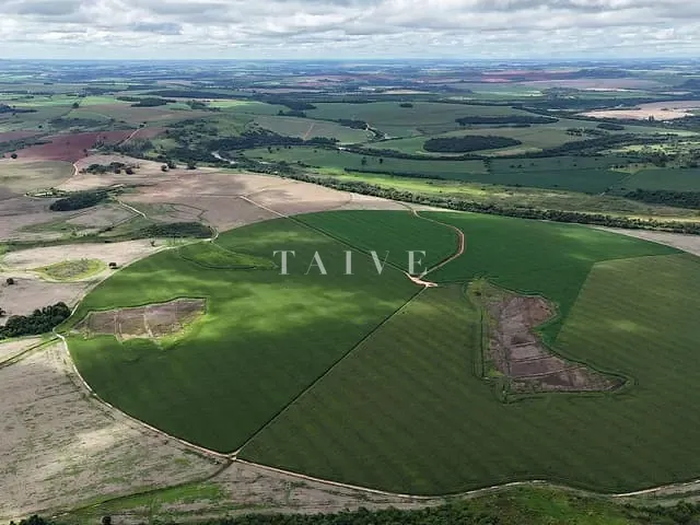 Fazenda com 4961000m², à venda, no bairro Área Rural de Campos de Holambra em Paranapanema