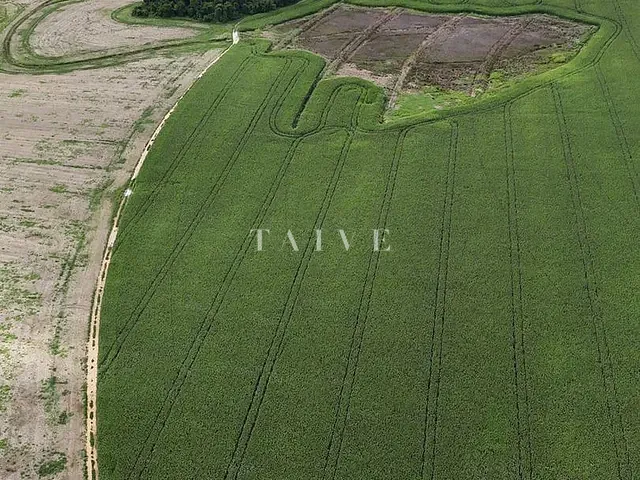 Fazenda com 4961000m², à venda, no bairro Área Rural de Campos de Holambra em Paranapanema