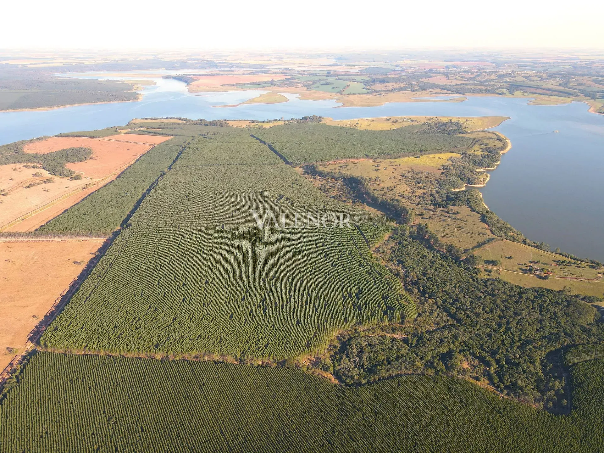 Fazenda, 358 hectares - Foto 1