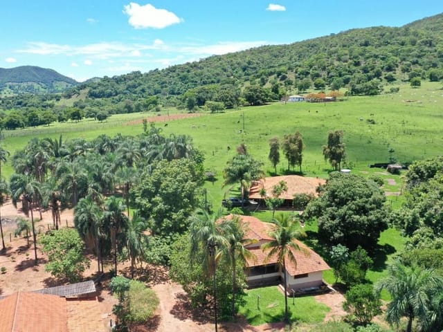 Foto do Fazenda - Fazenda à Venda Zona Rural - Palmeiras de Goiás! | AMJ GESTAO IMOBILIÁRIA