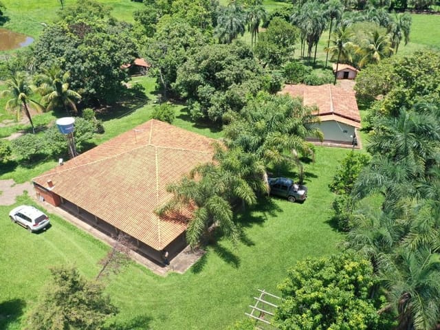 Foto do Fazenda - Fazenda à Venda Zona Rural - Palmeiras de Goiás! | AMJ GESTAO IMOBILIÁRIA