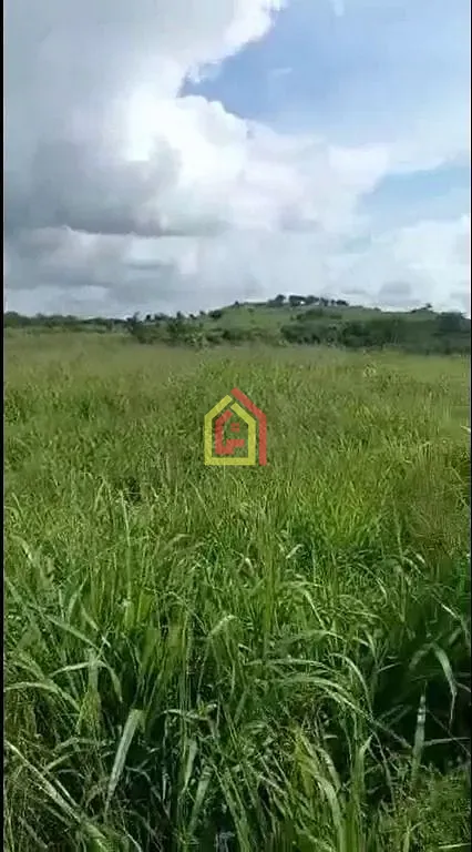 Rural à venda com 4259200m² de terreno no Zona Rural, Goianésia do Pará (PA) — foto 4 de 9