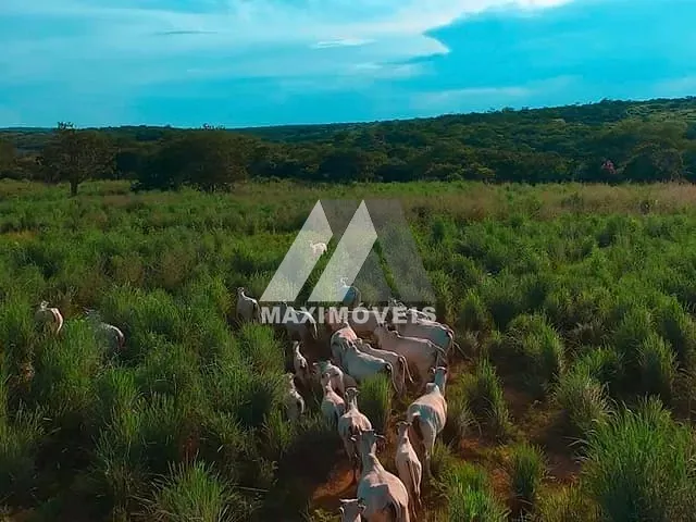 Fazenda com 460000m² 4 quartos e 2 banheiros, à venda, no bairro Baixa Quente em Araçuaí
