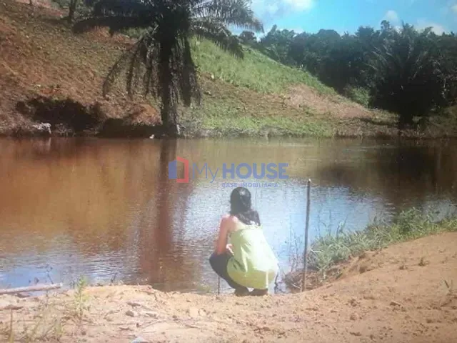 Sítio com 90m² 2 quartos e 1 banheiro, à venda, no bairro Boa Vista em Ilhéus