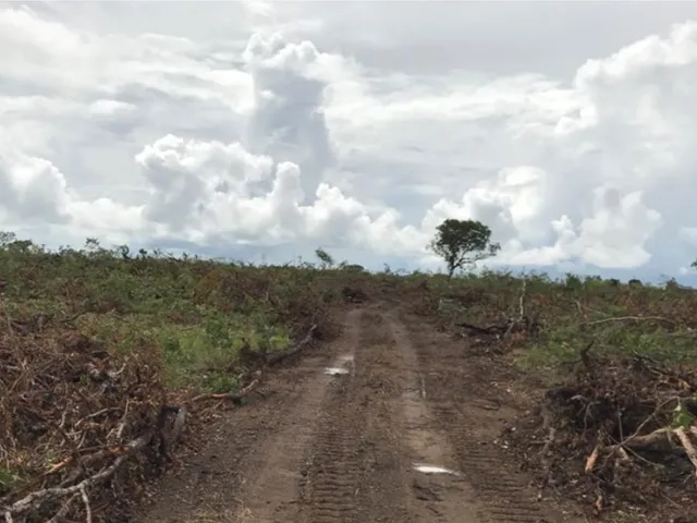 Fazenda com 10m² 5 quartos e 5 banheiros, à venda, no bairro Rural em Peixe