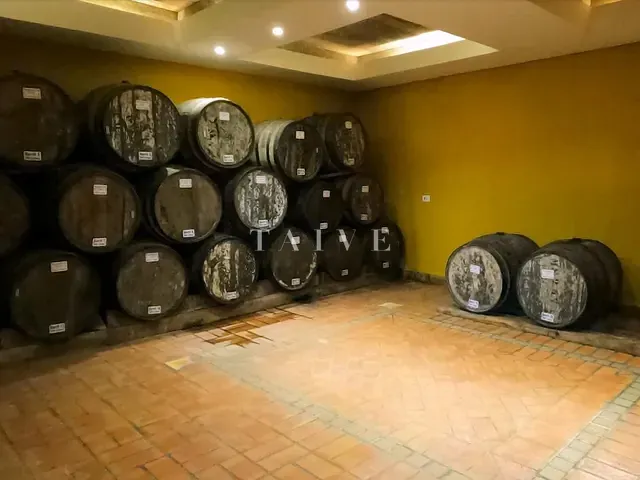 Fazenda com 5493400m², à venda, no bairro Centro em São Miguel Arcanjo