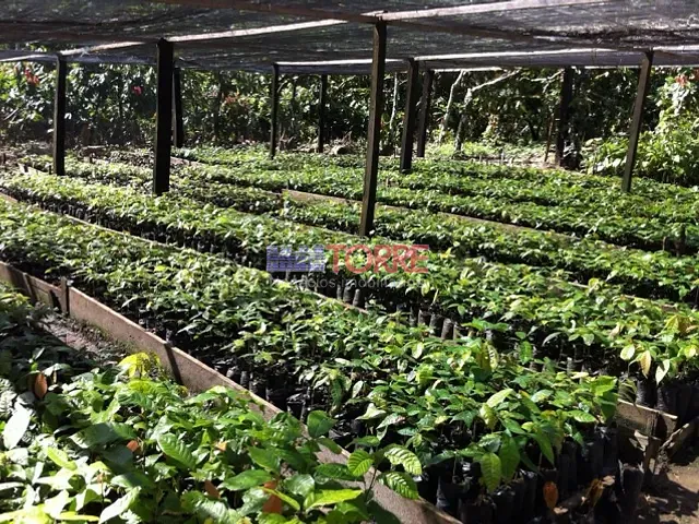 Fazenda com 575000m² 7 quartos e 7 banheiros, à venda, no bairro Centro em Ilhéus