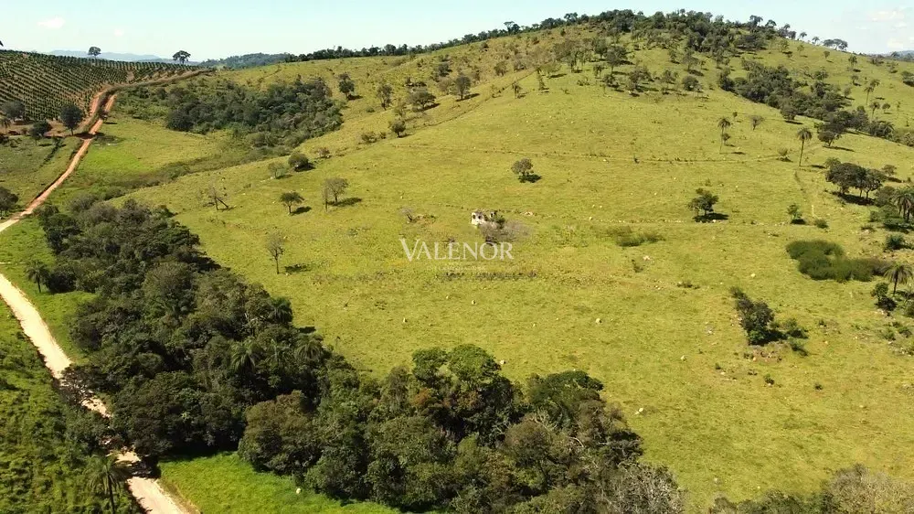 Fazenda, 451 hectares - Foto 13