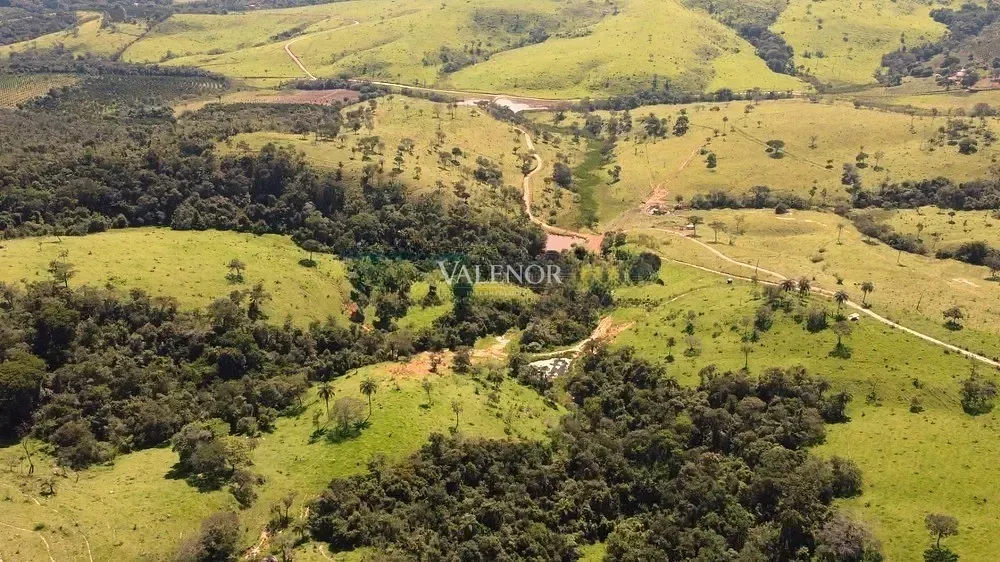 Fazenda, 451 hectares - Foto 16