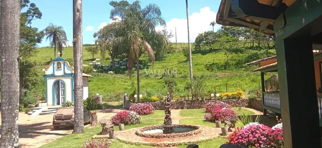 Fazenda, 451 hectares - Foto 20